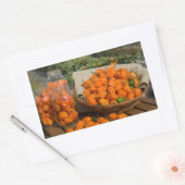 Sticker Rectangulaire Jardin Habanero (Enveloppe)