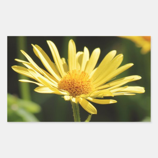 Sticker Rectangulaire Jaune (Devant)