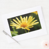 Sticker Rectangulaire Jaune (Enveloppe)