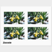Sticker Rectangulaire Jaune Daffodils fleurs dans la neige (Feuille)