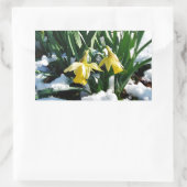 Sticker Rectangulaire Jaune Daffodils fleurs dans la neige (Sac)