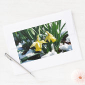Sticker Rectangulaire Jaune Daffodils fleurs dans la neige (Enveloppe)