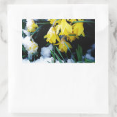 Sticker Rectangulaire Jaune Daffodils fleurs dans la neige (Sac)