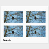 Sticker Rectangulaire Je vous regarde (Feuille)
