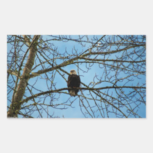 Sticker Rectangulaire Je vous regarde