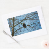 Sticker Rectangulaire Je vous regarde (Enveloppe)