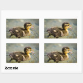 Sticker Rectangulaire Jeune bébé canard (Feuille)