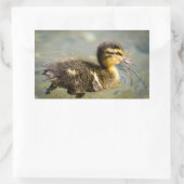 Sticker Rectangulaire Jeune bébé canard (Sac)