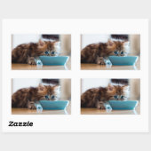 Sticker Rectangulaire Jeune Kitten perse (Feuille)