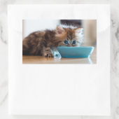 Sticker Rectangulaire Jeune Kitten perse (Sac)