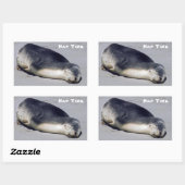 Sticker Rectangulaire Jeune phoque dormant sur la plage - Australie (Feuille)