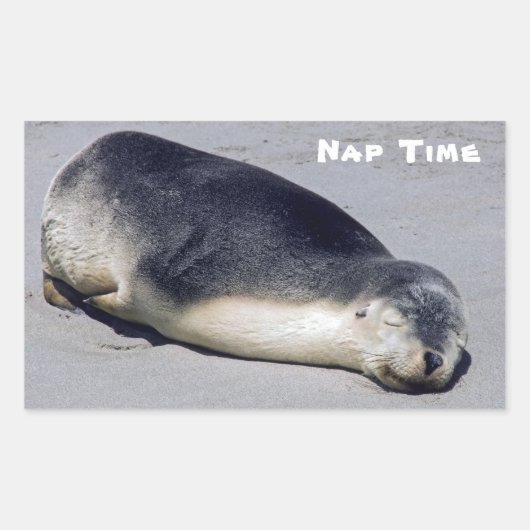 Sticker Rectangulaire Jeune phoque dormant sur la plage - Australie (Devant)