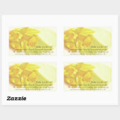 Sticker Rectangulaire John 11:25-26, Daffodiles Jaunes De Printemps (Feuille)