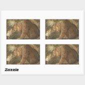 Sticker Rectangulaire John Bauer - Pauvre petite base (Feuille)