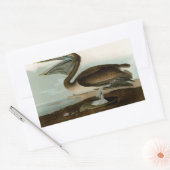 Sticker Rectangulaire John James Audubon Peinture Pélicane Brown (Enveloppe)