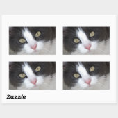 Sticker Rectangulaire Joli chat gris et blanc (Feuille)