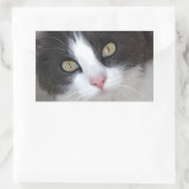 Sticker Rectangulaire Joli chat gris et blanc (Sac)