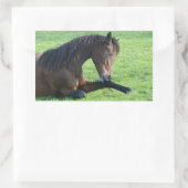 Sticker Rectangulaire Joli Cheval Brown allongé dans l'herbe (Sac)