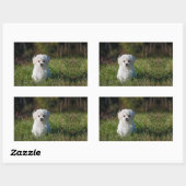 Sticker Rectangulaire Joli chiot blanc (Feuille)