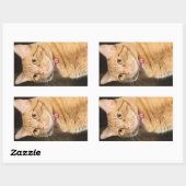 Sticker Rectangulaire Joli Penny (Feuille)