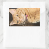 Sticker Rectangulaire Joli Penny (Sac)