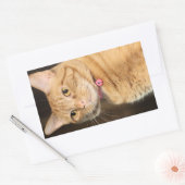 Sticker Rectangulaire Joli Penny (Enveloppe)