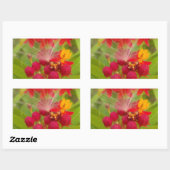 Sticker Rectangulaire Jolie florale colorée avec Milkweed Art Imprimer (Feuille)