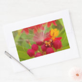 Sticker Rectangulaire Jolie florale colorée avec Milkweed Art Imprimer (Enveloppe)