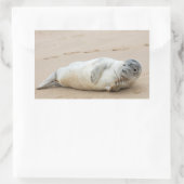 Sticker Rectangulaire Jolie Pose de phoque sur une plage (Sac)