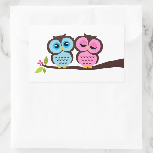 Sticker Rectangulaire Jolies Chouettes (Sac)
