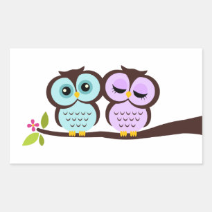 Sticker Rectangulaire Jolies Chouettes