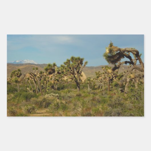 Sticker Rectangulaire Joshua Tree National Park Paysage du désert (Devant)