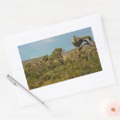 Sticker Rectangulaire Joshua Tree National Park Paysage du désert (Enveloppe)