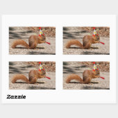 Sticker Rectangulaire Joyeux écureuil d'anniversaire (Feuille)