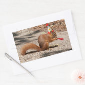 Sticker Rectangulaire Joyeux écureuil d'anniversaire (Enveloppe)