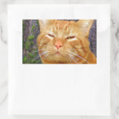 Sticker Rectangulaire Joyeux Kitty Kat ! (Sac)