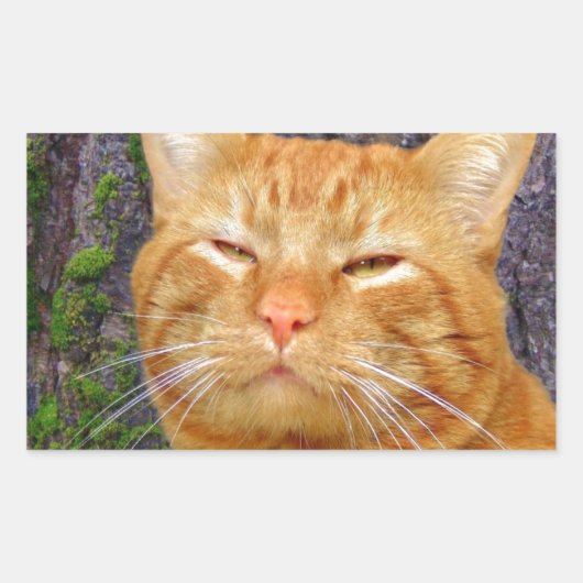 Sticker Rectangulaire Joyeux Kitty Kat ! (Devant)