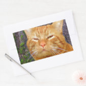 Sticker Rectangulaire Joyeux Kitty Kat ! (Enveloppe)
