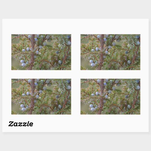 Sticker Rectangulaire Junipers (Feuille)