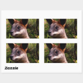 Sticker Rectangulaire Kangaroo (Feuille)