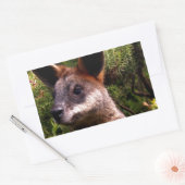 Sticker Rectangulaire Kangaroo (Enveloppe)