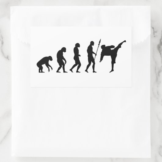 Sticker Rectangulaire karate kick evolution (Sac)