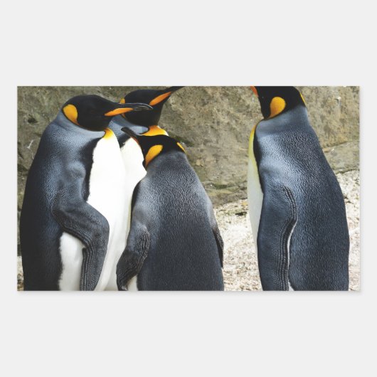 Sticker Rectangulaire King Penguin (Devant)