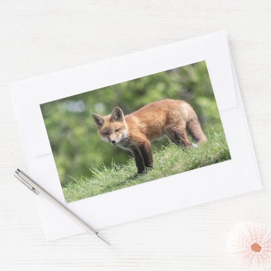 Sticker Rectangulaire Kit Red Fox (Enveloppe)
