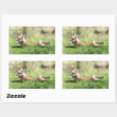 Sticker Rectangulaire Kit Red Fox (Feuille)