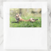 Sticker Rectangulaire Kit Red Fox (Sac)