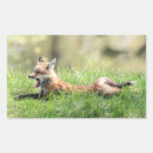 Sticker Rectangulaire Kit Red Fox