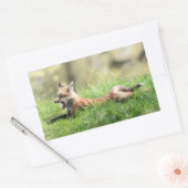 Sticker Rectangulaire Kit Red Fox (Enveloppe)