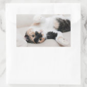 Sticker Rectangulaire Kitten (Sac)