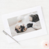 Sticker Rectangulaire Kitten (Enveloppe)